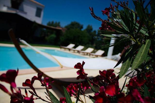 Villa Silvia Apartment Ольмедо Экстерьер фото
